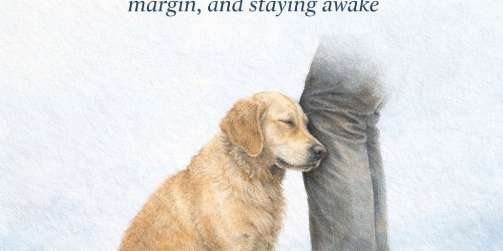 Stay Near What Steadies You